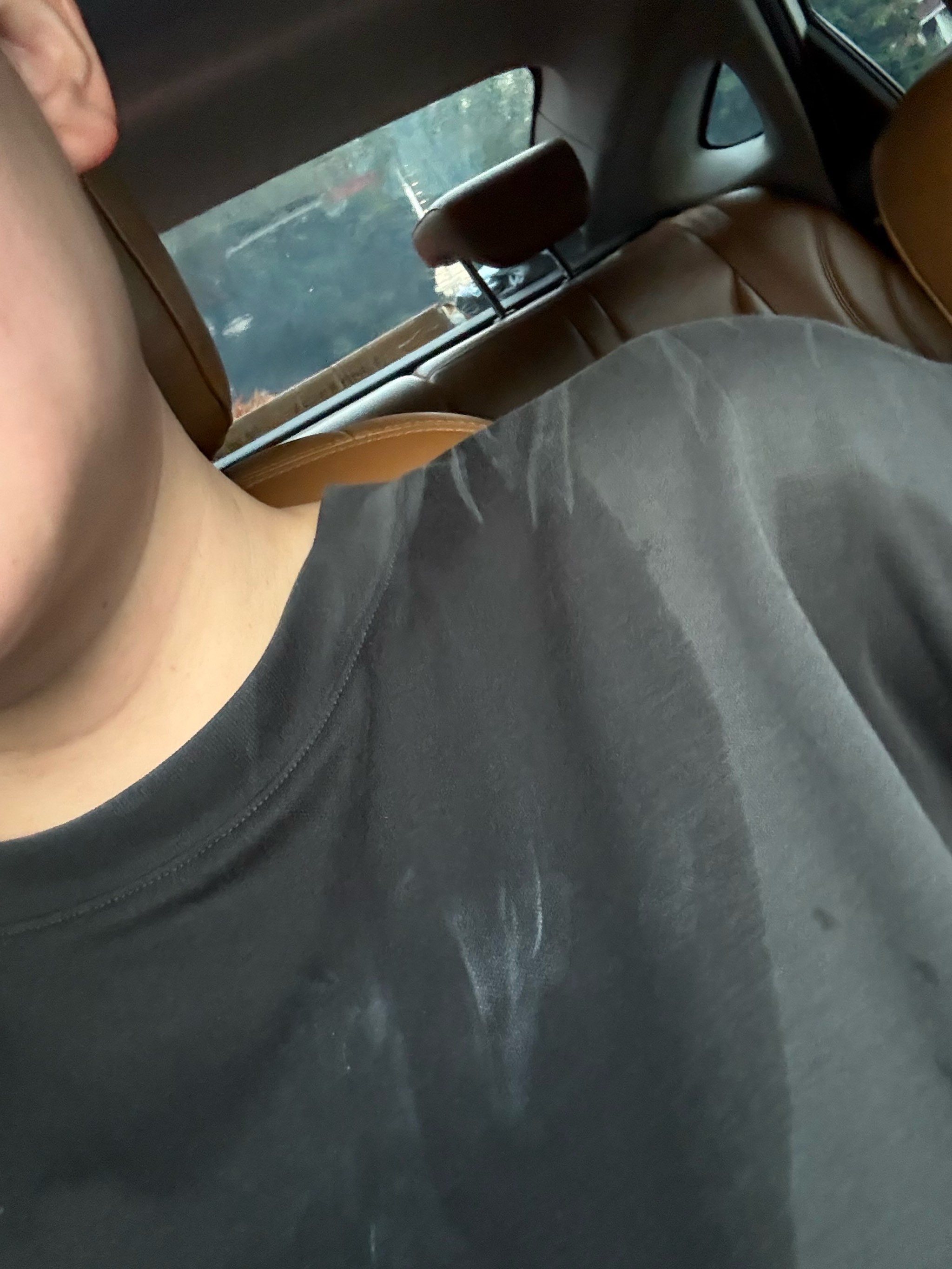 的14个法 的14个法