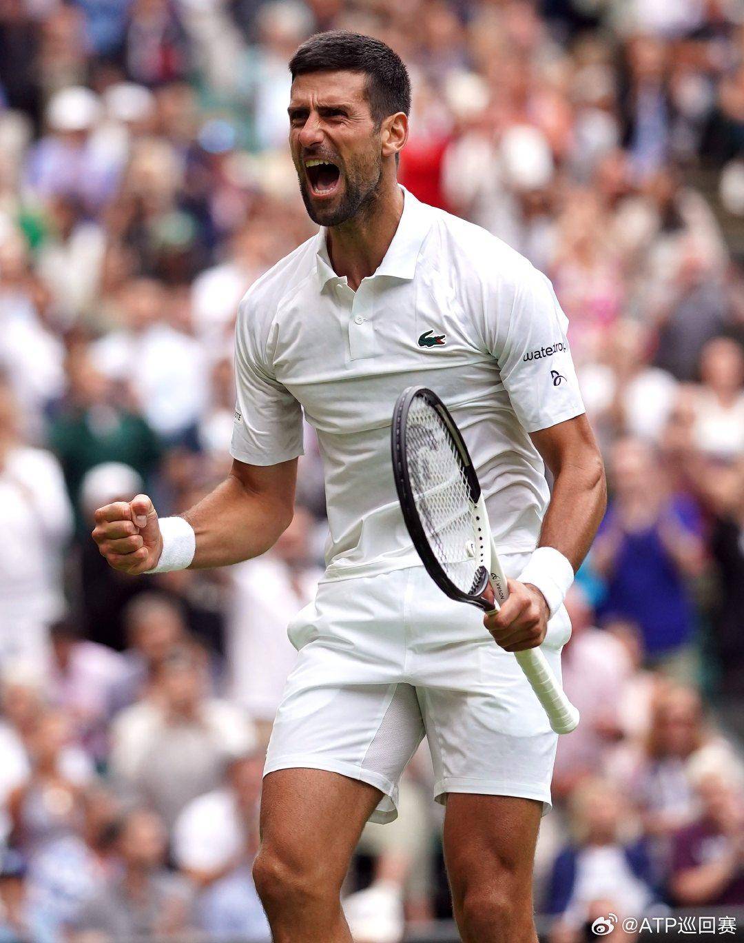 它更像是一 它更像是一