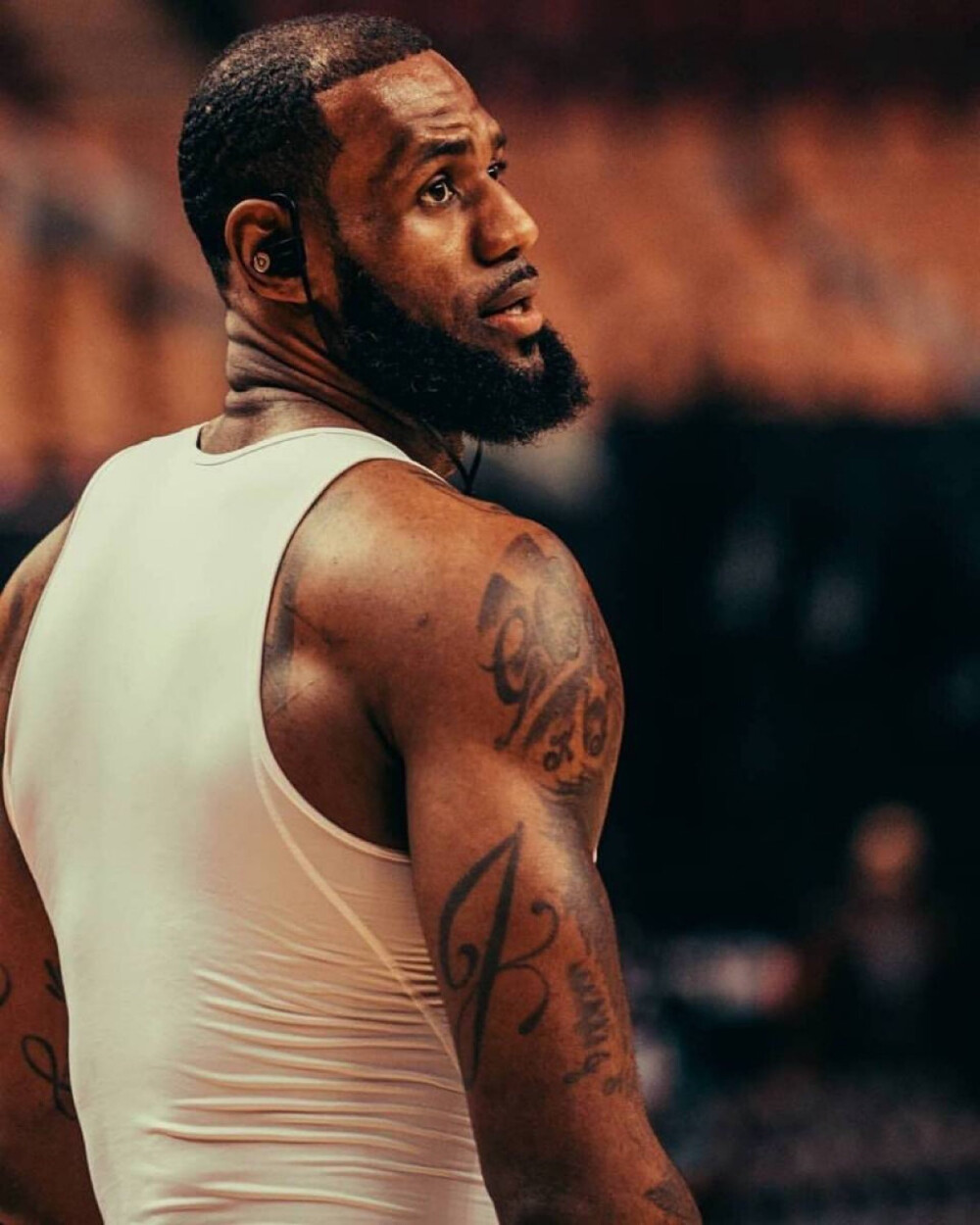 第五天视格 第五天视格