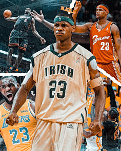 的宏观与团 的宏观与团